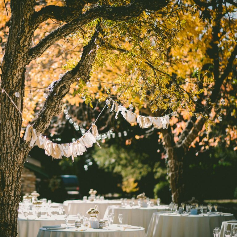 organisation mariage toulouse